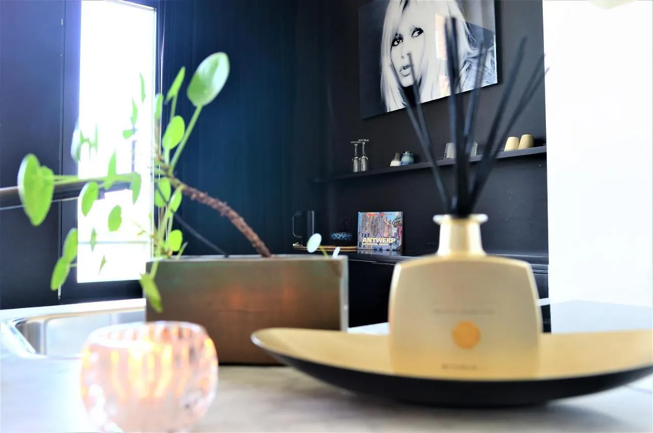 Kaai11 - Lofts & Suites With A View Antwerpen Belgien